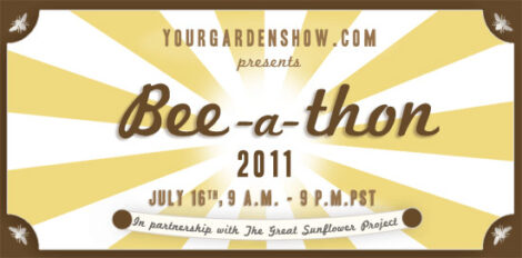 Live Today: Bee-a-Thon 2011 Image
